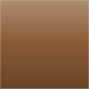 Bronze / Copper (PVD)