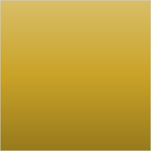 Gold (PVD)